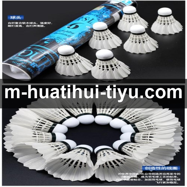 华体会 Sports 官方视觉图